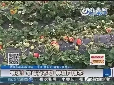 精东在线视频